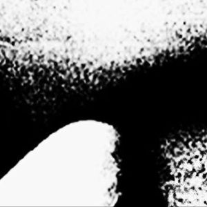 Meet your Posher, Donovan